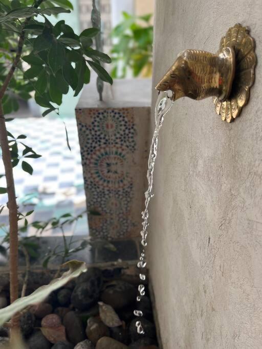Riad Nadara, Superbe Riad Au Coeur De La Medina! Marrakesch Exterior foto
